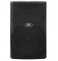 Peavey PVx15